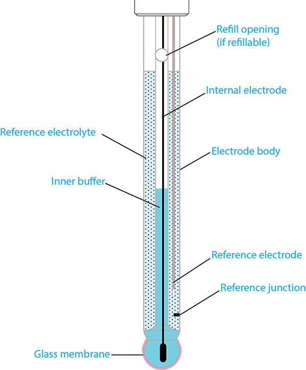 Anatomy of a pH Electrode Glass pH Probes, Part 1 of 4